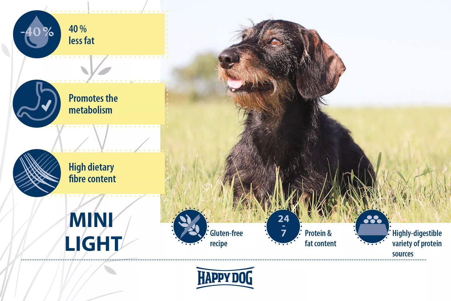 Happy Dog Mini Fit & Well Light