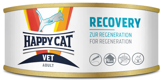 Happy Cat Vet Diet Recovery